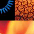 In Like Flynn Design