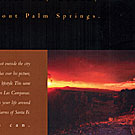 In Like Flynn Design