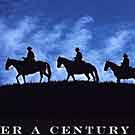 In Like Flynn Design