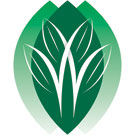 In Like Flynn Design